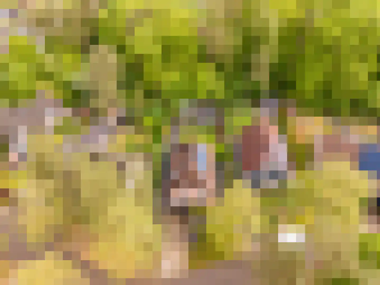de Ploeg 7 Wezep thumbnail 67
