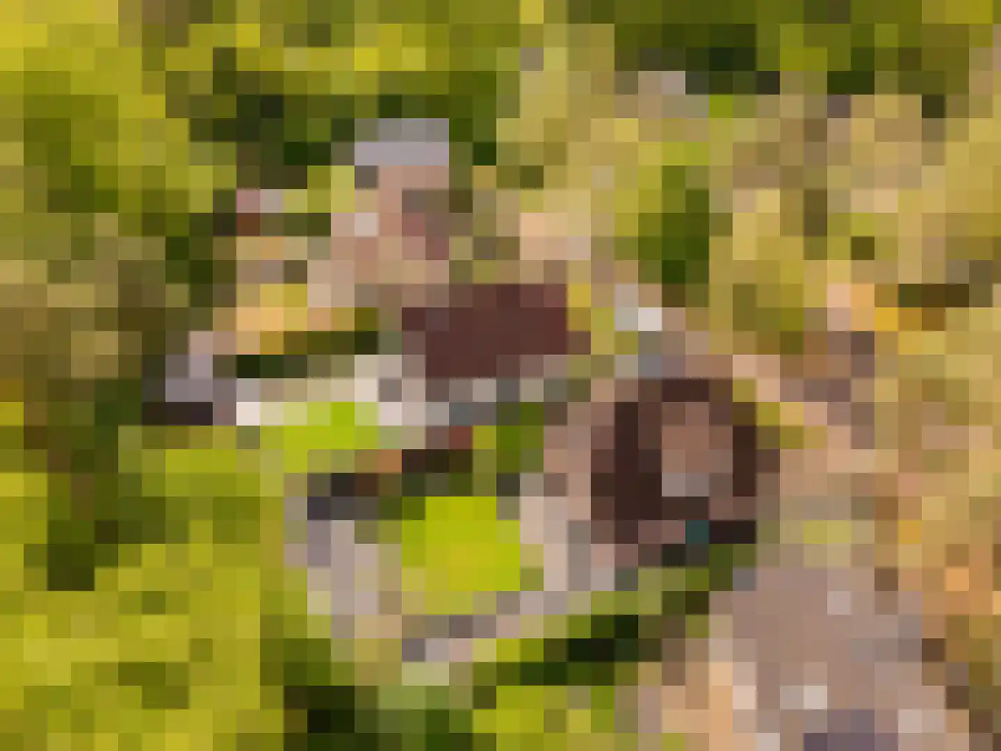 de Ploeg 7 Wezep thumbnail 70