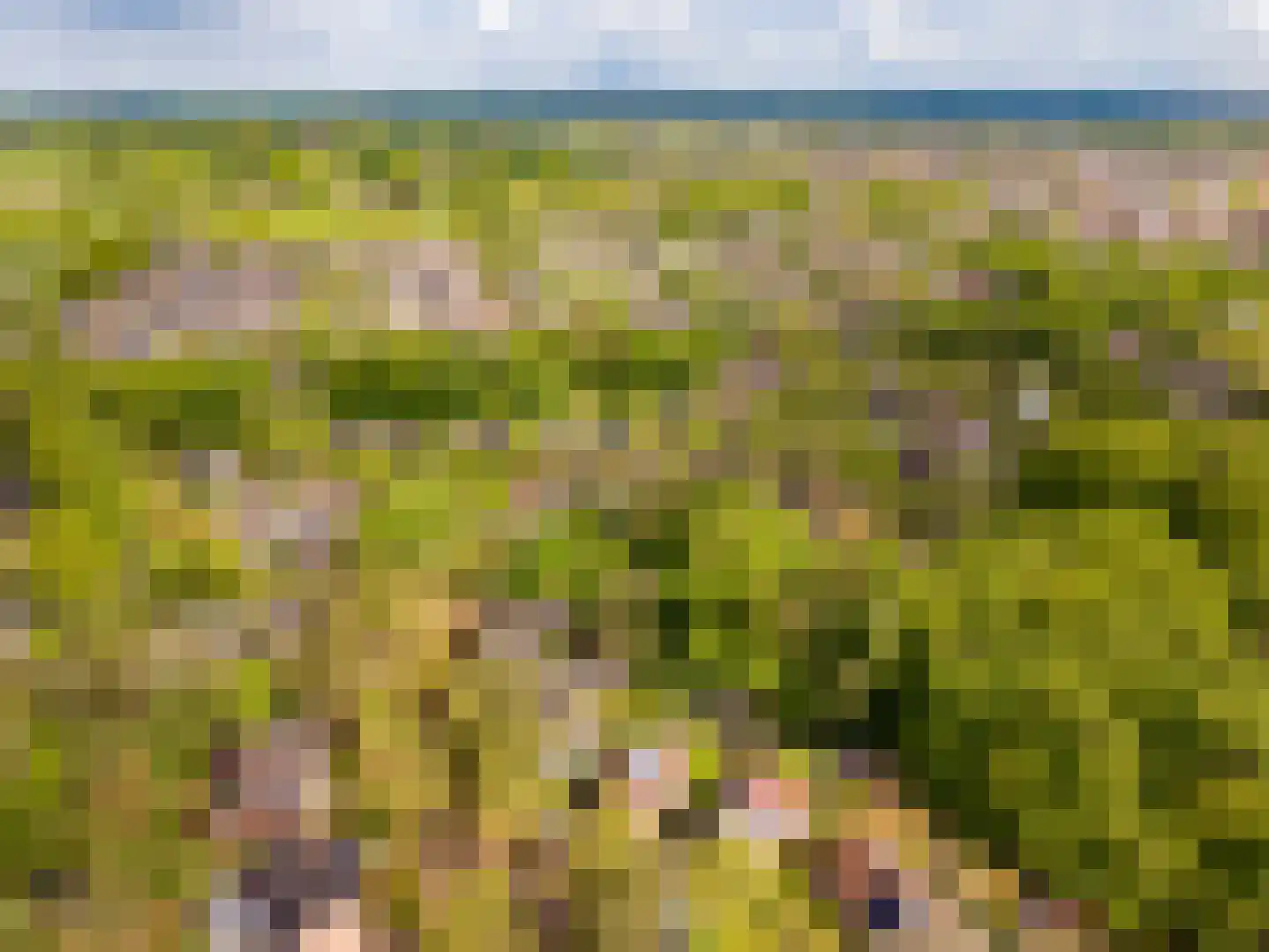 de Ploeg 7 Wezep thumbnail 71