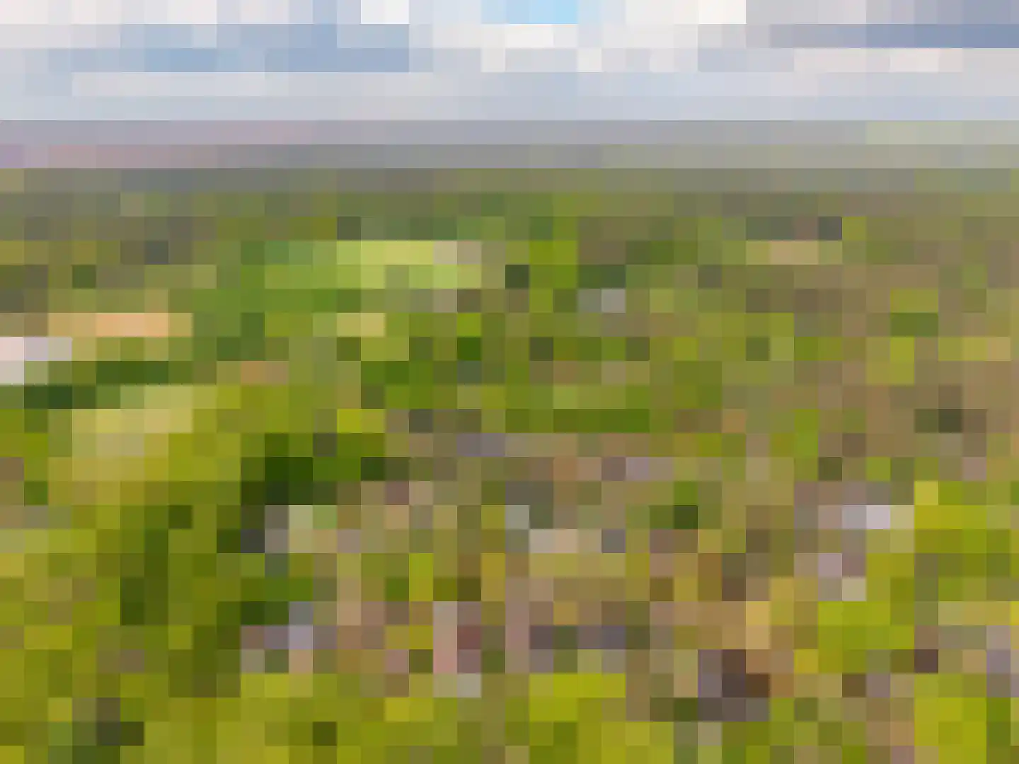 de Ploeg 7 Wezep thumbnail 72