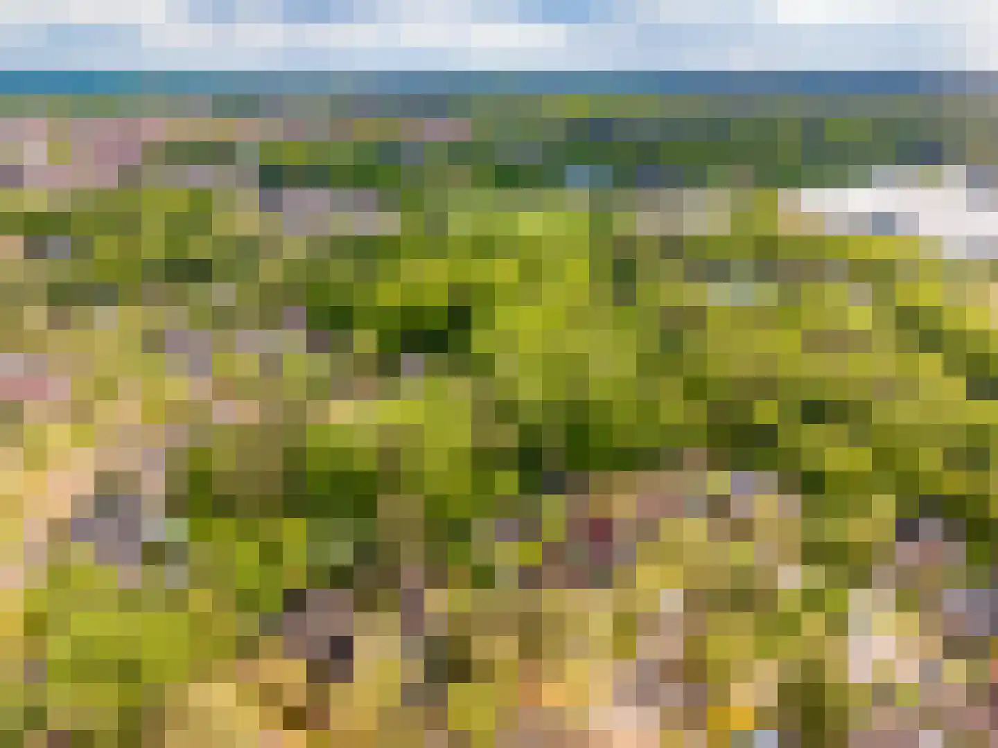 de Ploeg 7 Wezep thumbnail 73