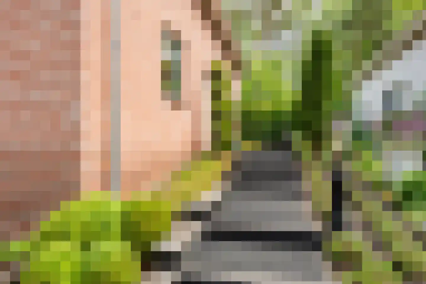 de Ploeg 7 Wezep thumbnail 8