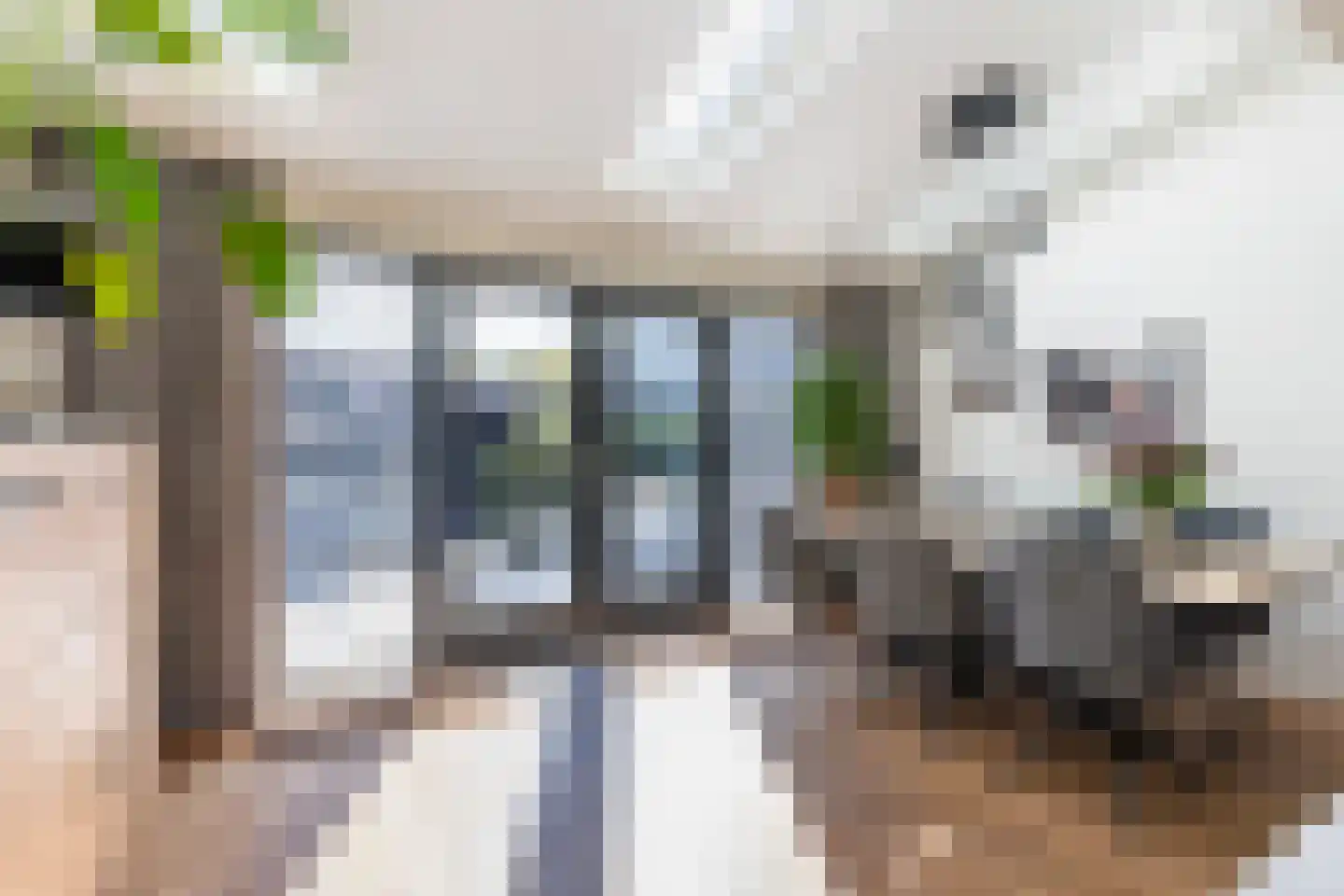 De Ploeg 8 Apeldoorn thumbnail 13