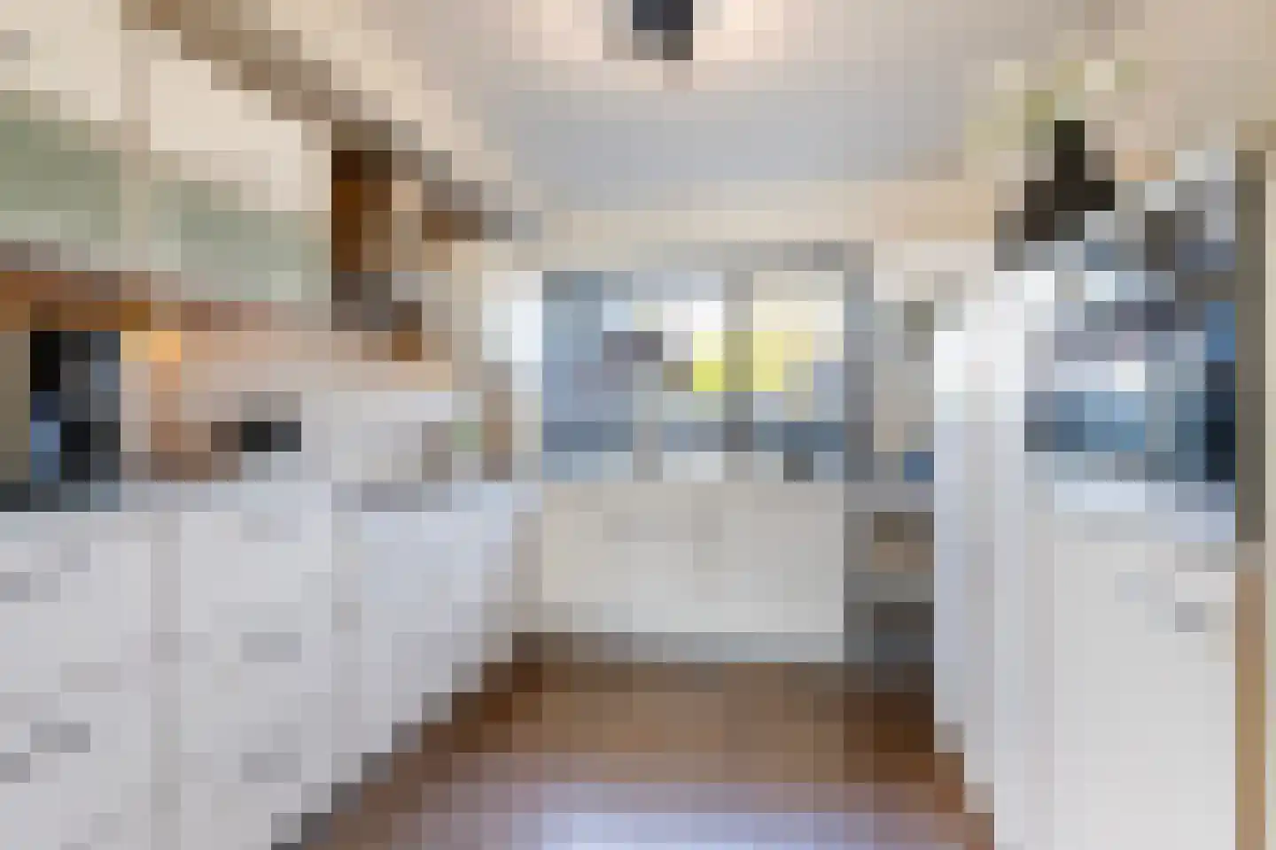 De Ploeg 8 Apeldoorn thumbnail 16