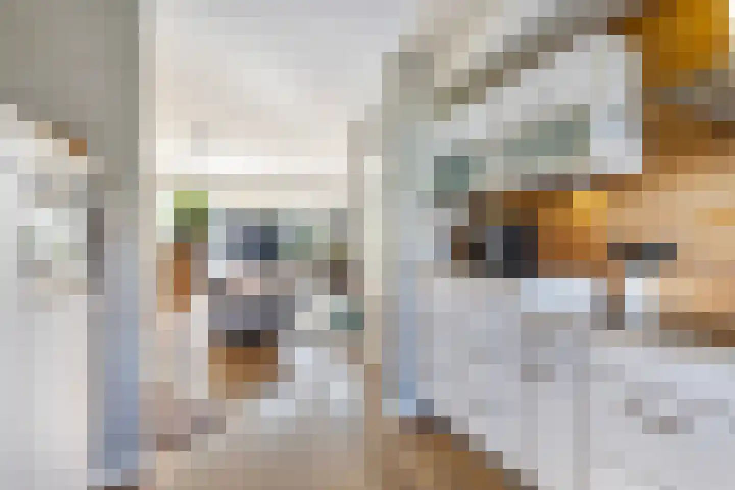 De Ploeg 8 Apeldoorn thumbnail 17
