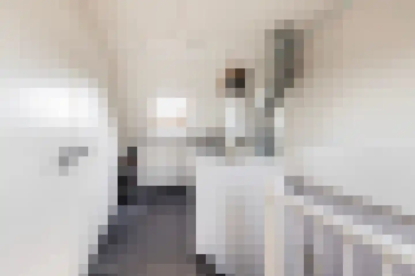 De Ploeg 8 Apeldoorn thumbnail 33