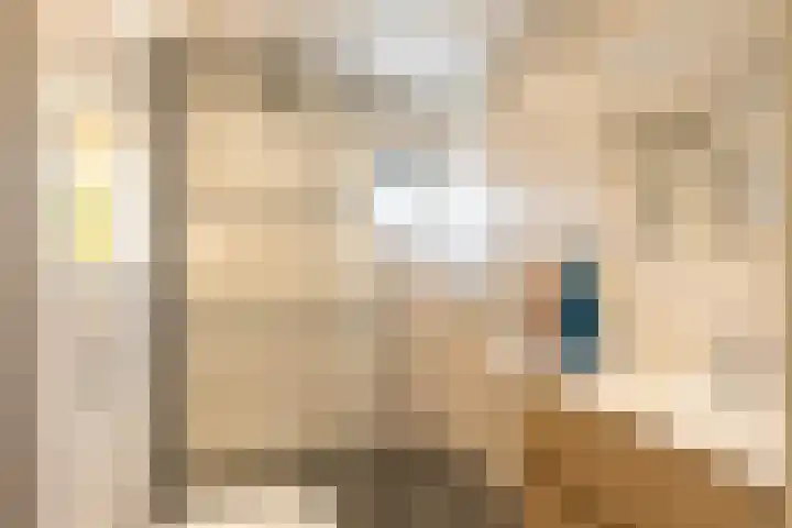 De Ploeglaan 10 Groningen thumbnail 4
