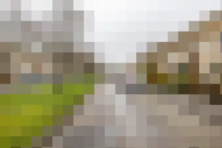 De Ploeglaan 10 Groningen thumbnail 8