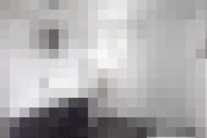 De Ploeglaan 16 Groningen thumbnail 24