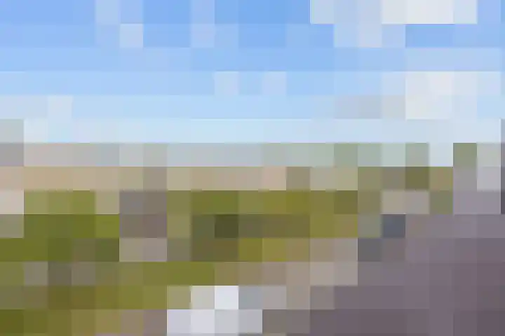 De Ploeglaan 16 Groningen thumbnail 31