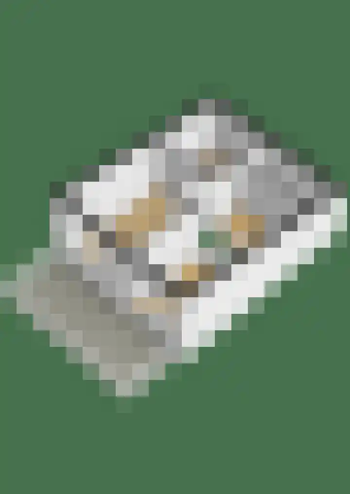 De Ploeglaan 16 Groningen thumbnail 42