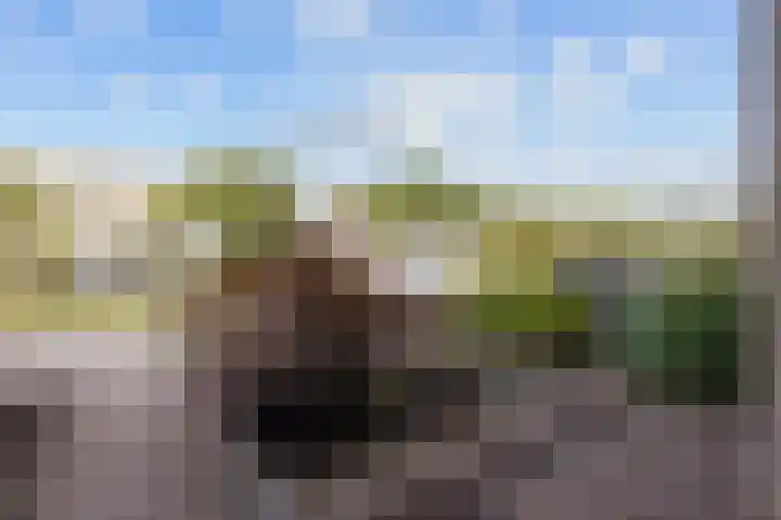 De Ploeglaan 16 Groningen thumbnail 6