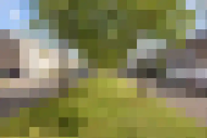 De Ploeglaan 16 Groningen thumbnail 7