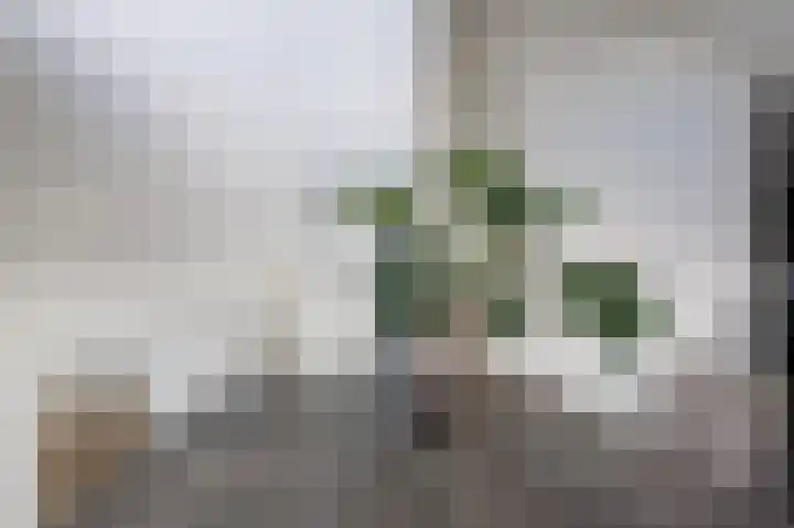 De Ploeglaan 29 Groningen thumbnail 16