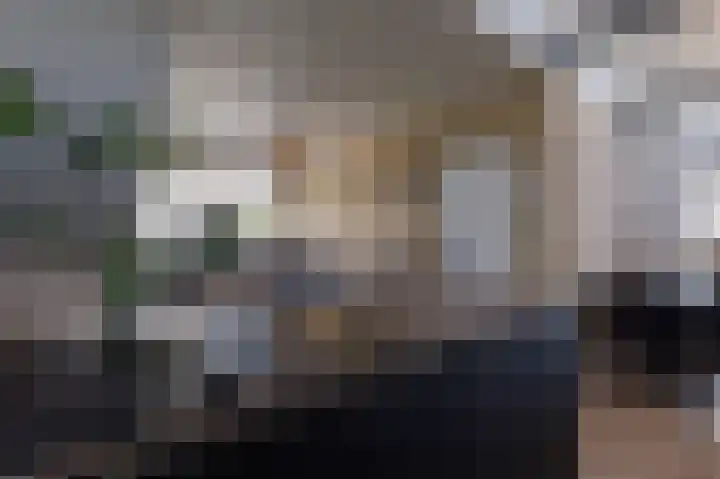 De Ploeglaan 29 Groningen thumbnail 17