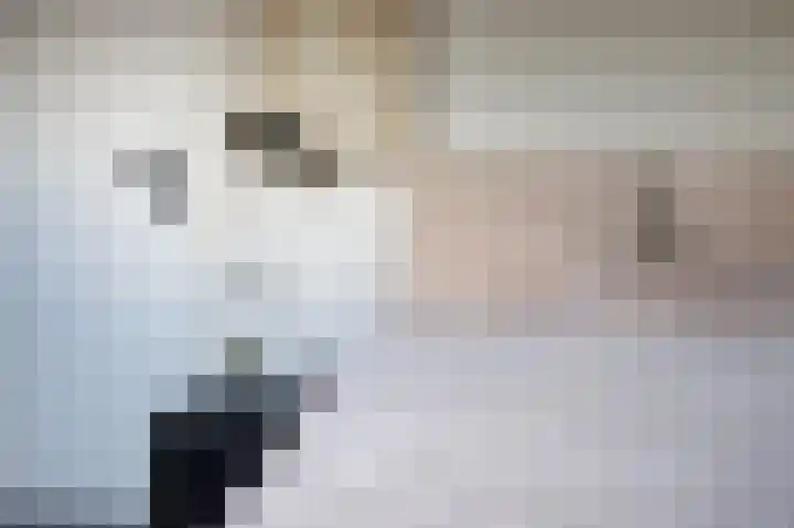 De Ploeglaan 29 Groningen thumbnail 30