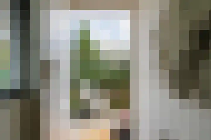 De Ploeglaan 29 Groningen thumbnail 41