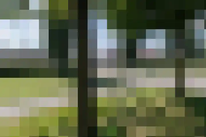 De Ploeglaan 29 Groningen thumbnail 43