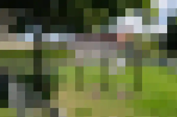De Ploeglaan 29 Groningen thumbnail 44