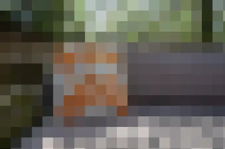 De Ploeglaan 29 Groningen thumbnail 8