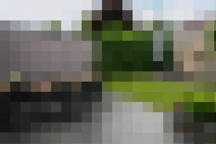 De Ploegschaar 116 Berkel-Enschot thumbnail 45