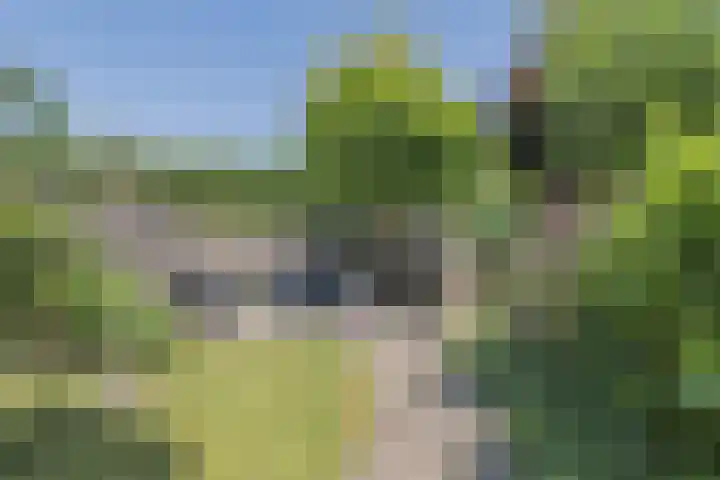 De Ploegschaar 122 Berkel-Enschot thumbnail 26