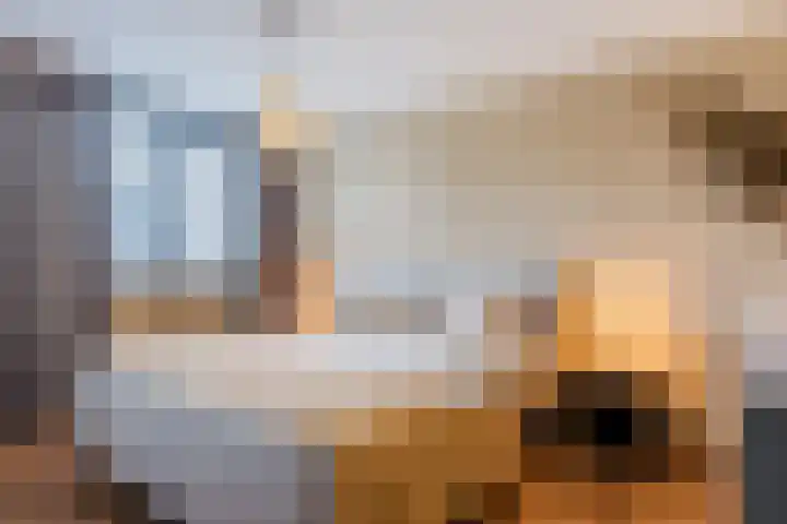 De Ploegschaar 21 Berkel-Enschot thumbnail 13
