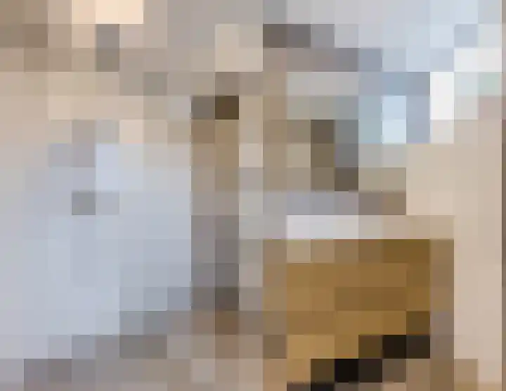 De Ploegschaar 21 Berkel-Enschot thumbnail 18