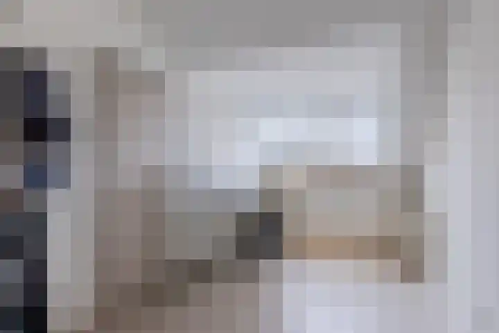 De Ploegschaar 21 Berkel-Enschot thumbnail 22