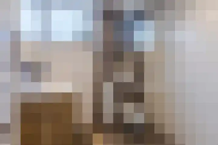 De Ploegschaar 21 Berkel-Enschot thumbnail 4