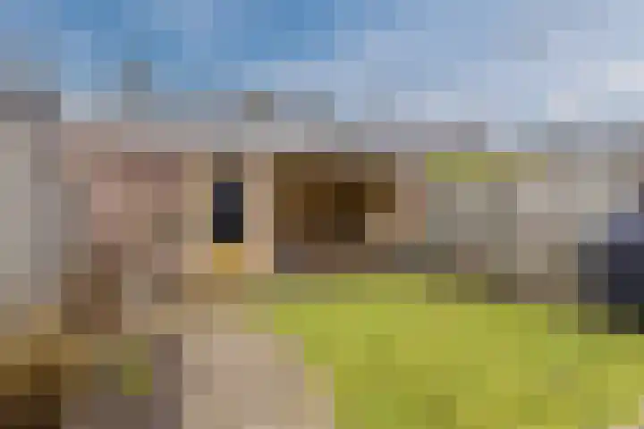 De Ploegschaar 21 Berkel-Enschot thumbnail 5