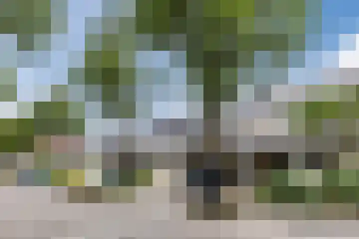 De Ploegschaar 89 Berkel-Enschot thumbnail 7