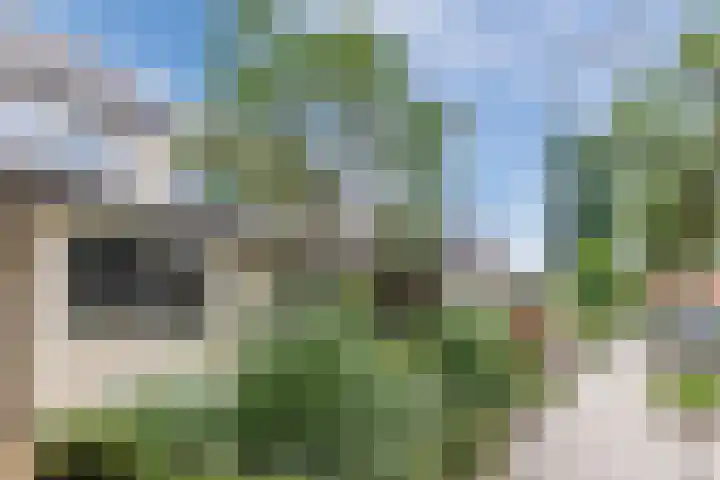 De Ploegschaar 89 Berkel-Enschot thumbnail 8