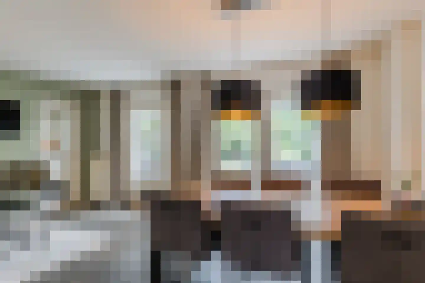 De Ploegschaar 98 Berkel-Enschot thumbnail 10