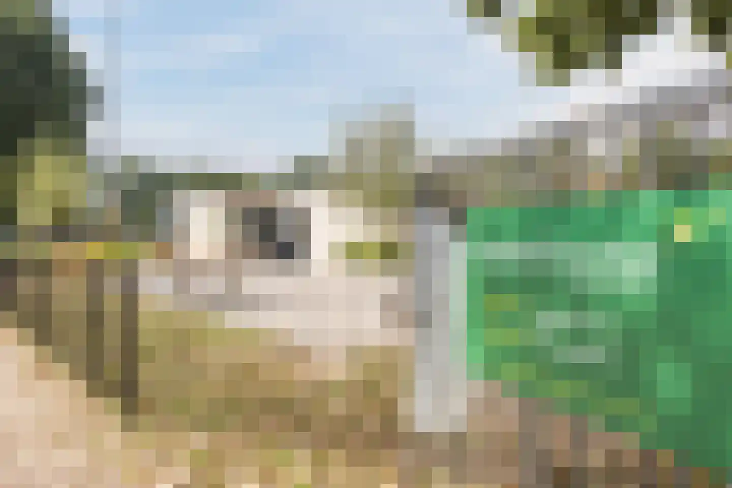 De Ploegschaar 98 Berkel-Enschot thumbnail 43