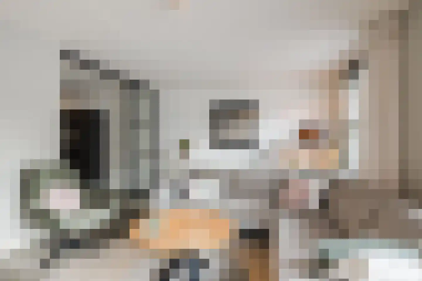 De Ploegschaar 98 Berkel-Enschot thumbnail 6