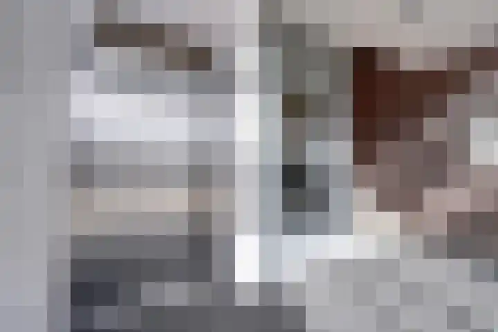 De Poel 12 Rijnsburg thumbnail 10