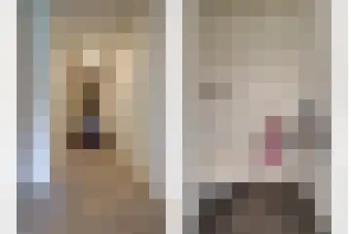 De Poel 12 Rijnsburg thumbnail 15