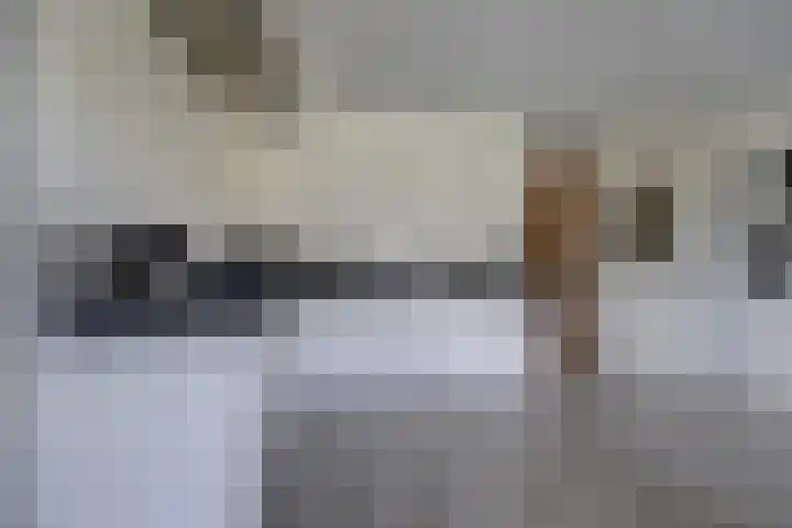 De Poel 12 Rijnsburg thumbnail 21