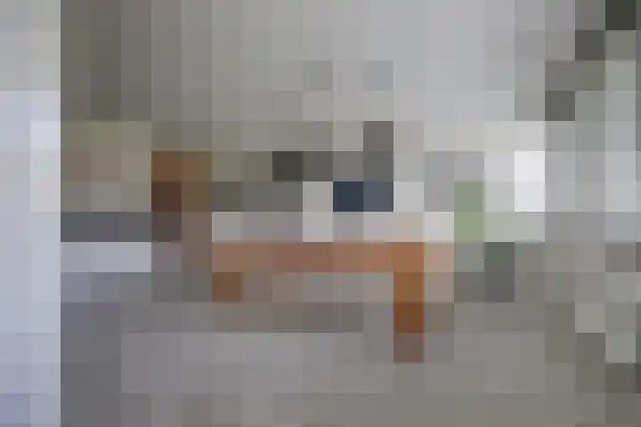 De Poel 12 Rijnsburg thumbnail 23