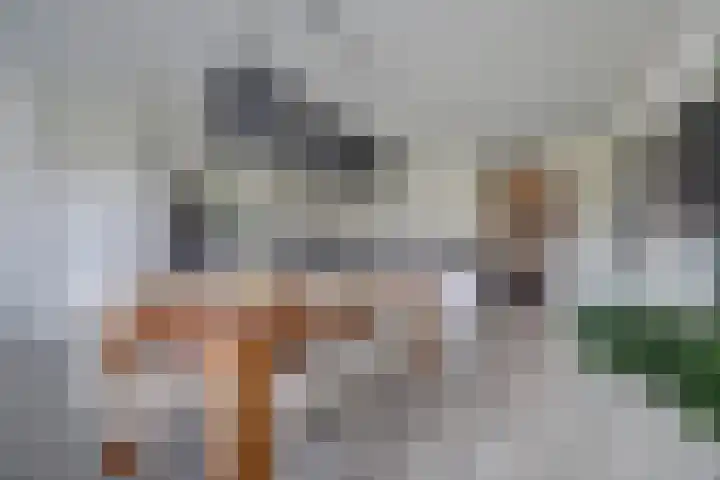 De Poel 12 Rijnsburg thumbnail 24