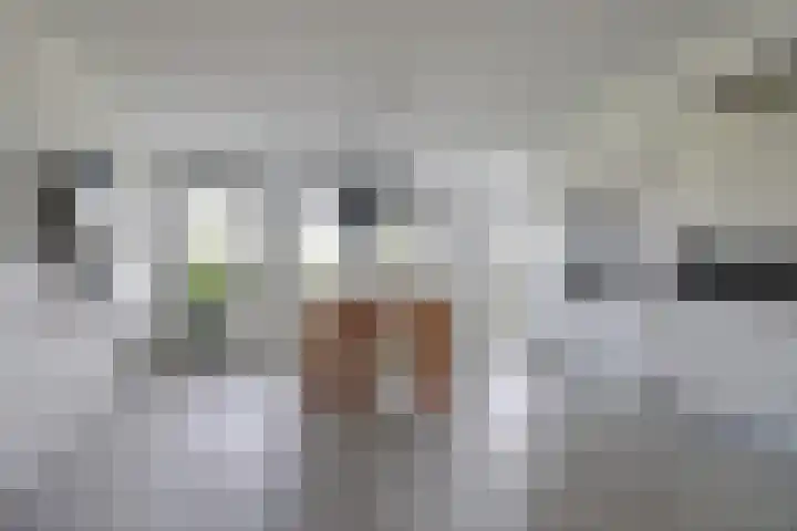 De Poel 12 Rijnsburg thumbnail 25