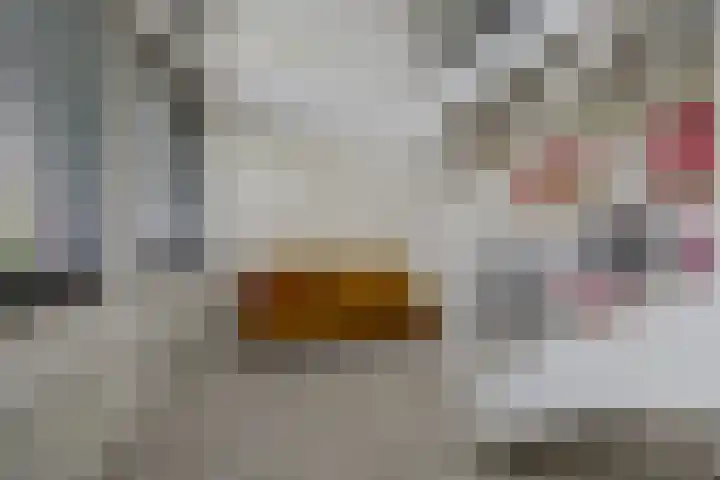 De Poel 12 Rijnsburg thumbnail 26