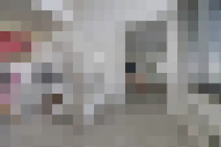 De Poel 12 Rijnsburg thumbnail 28