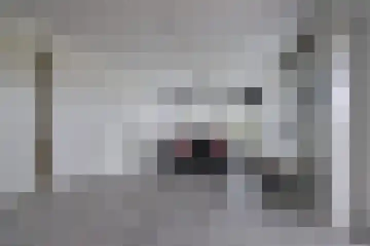 De Poel 12 Rijnsburg thumbnail 30