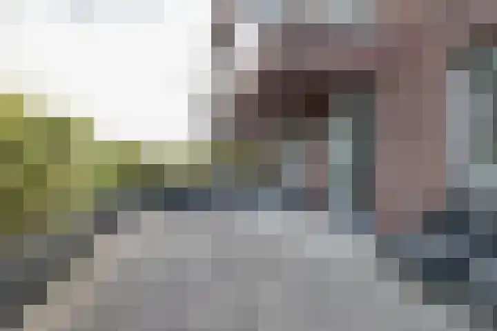 De Poel 12 Rijnsburg thumbnail 42