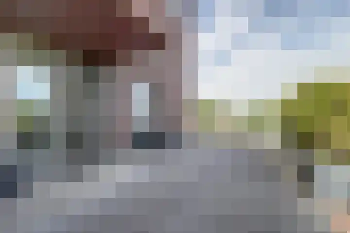 De Poel 12 Rijnsburg thumbnail 43