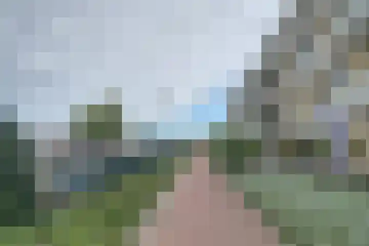 De Poel 12 Rijnsburg thumbnail 46