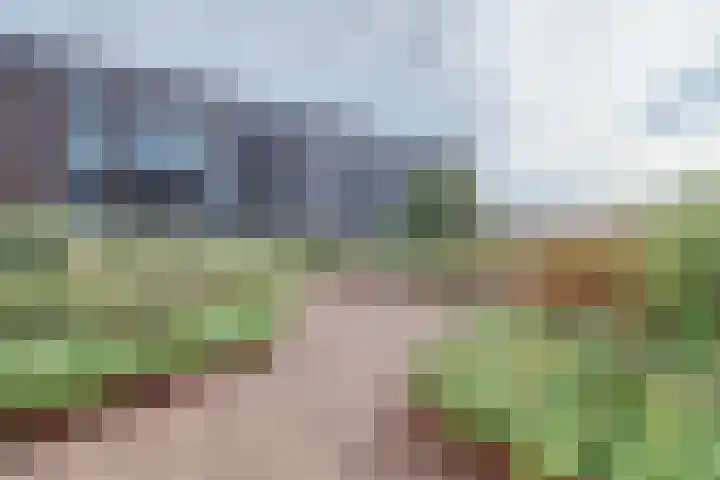 De Poel 12 Rijnsburg thumbnail 49
