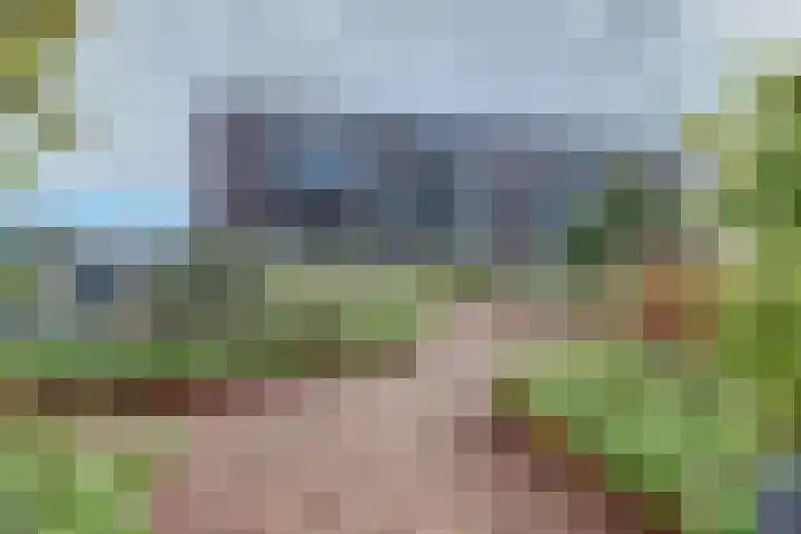 De Poel 12 Rijnsburg thumbnail 50